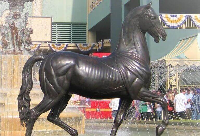 Breeders Cup Betting 2024 Best Odds & Picks for Horse Betting