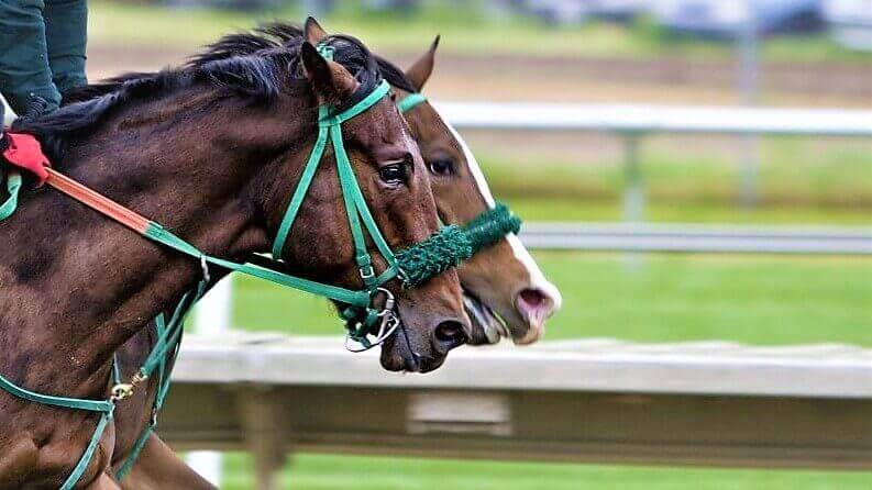 Horse race betting at the Kentucky Derby