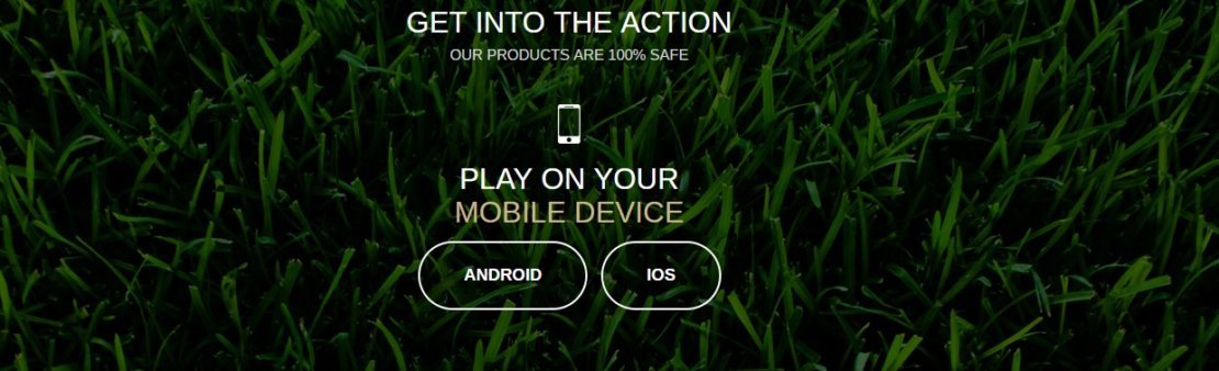 BetMGM App