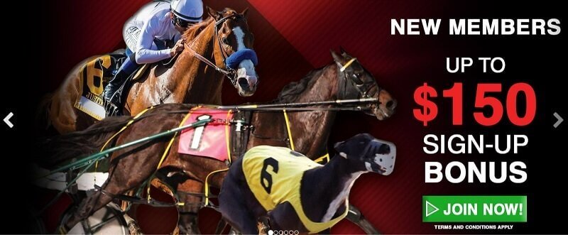 watch and wager watch and wager