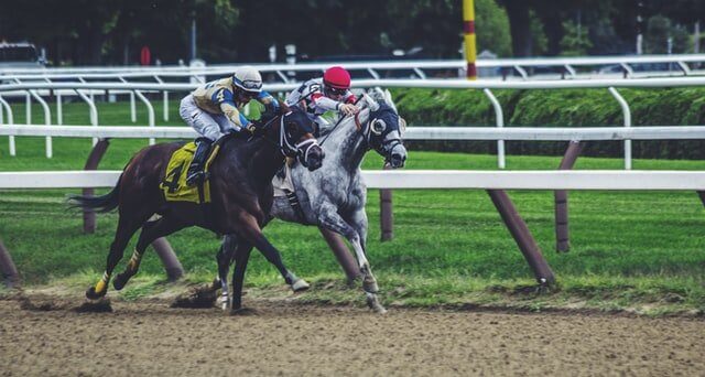 Two jockeys riding horses