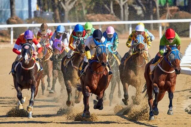 players riding horses